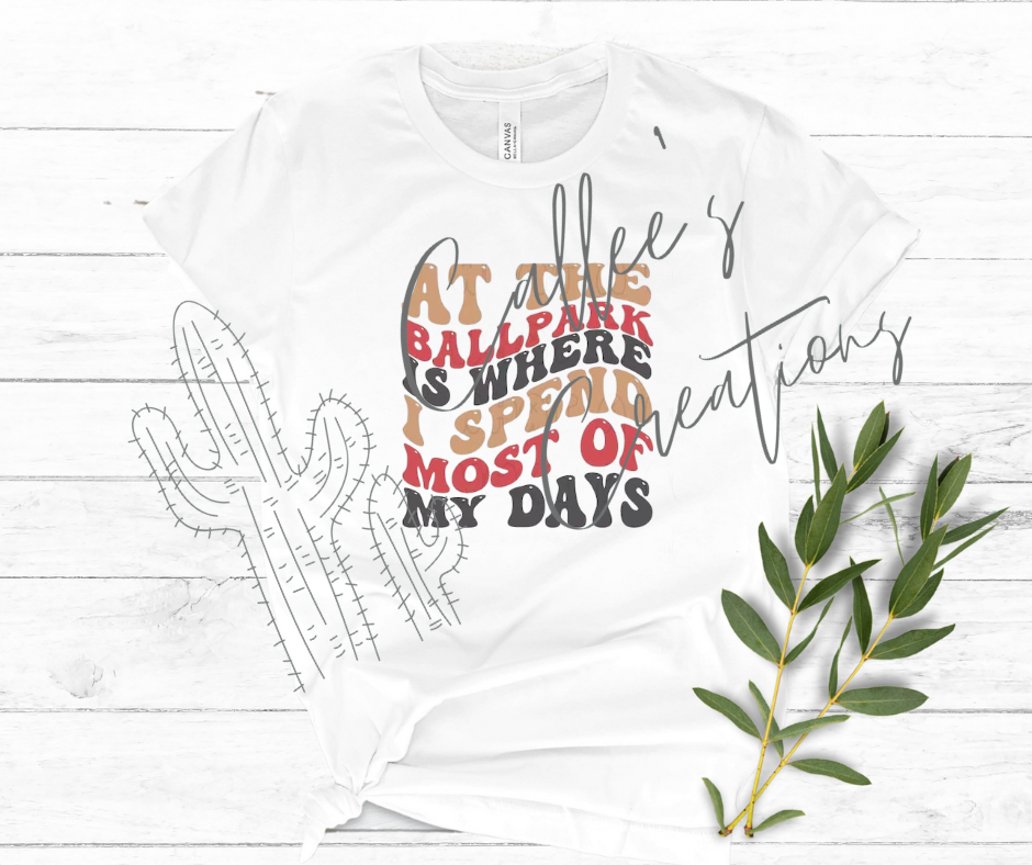 At the Ballpark T-Shirt
